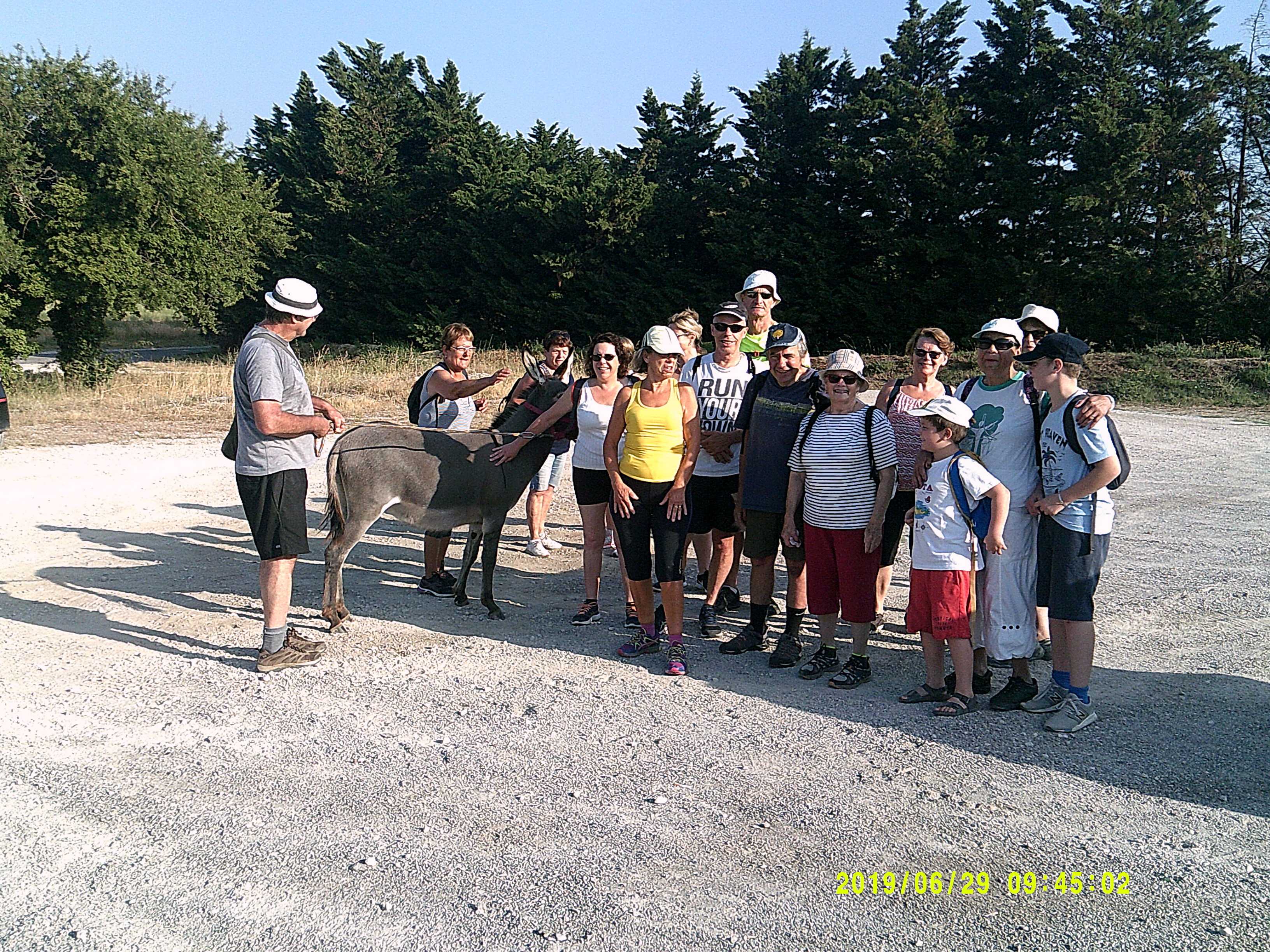 29 Juin 19 ballade avec les ânes